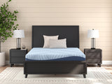 Peak 2.0 10 Memory Foam Mattresses - Tampa Furniture Outlet