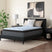 Tampa Furniture Outlet - Ashley Furniture - Destin Cove PT Mattresses - California King - M33251