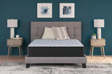 Tampa Furniture Outlet - Ashley Furniture - Elite Springs Firm Mattresses - Twin / Gray/Blue - M40511