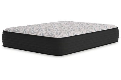 Elite Springs Firm Mattress - Tampa Furniture Outlet
