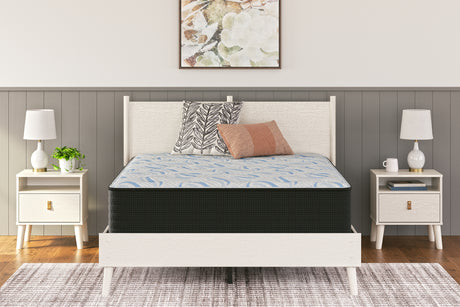 Tampa Furniture Outlet - Ashley Furniture - Elite Springs Plush Mattresses - California King / Gray/Blue - M40651