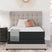 Tampa Furniture Outlet - Ashley Furniture - Limited Edition Firm Mattresses - California King / White - M41051