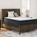 Limited Edition PT Mattress - Tampa Furniture Outlet