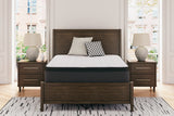 Tampa Furniture Outlet - Ashley Furniture - Limited Edition PT Mattresses - Twin / White - M41211