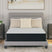 Palisades Firm Mattresses - Tampa Furniture Outlet