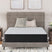 Palisades Plush Mattresses - Tampa Furniture Outlet