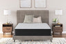 Palisades Plush Mattresses - Tampa Furniture Outlet
