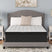 Palisades ET Mattresses - Tampa Furniture Outlet