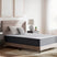 Tampa Furniture Outlet - Ashley Furniture - Anniversary Edition Plush Mattresses - King - M42141