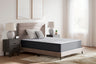 Tampa Furniture Outlet - Ashley Furniture - Anniversary Edition Plush Mattresses - King - M42141