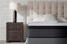 Tampa Furniture Outlet - Ashley Furniture - Anniversary Edition Pillowtop Mattresses - Queen - M42231