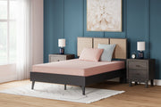 iKidz Coral Mattresses - Tampa Furniture Outlet