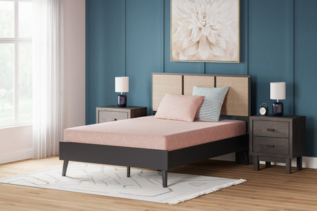 iKidz Coral Mattresses - Tampa Furniture Outlet