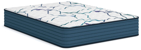 Tampa Furniture Outlet - Ashley Furniture - Limited Edition Firm 3.0 Mattresses - Queen - M45031