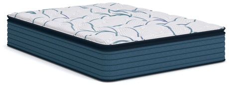 Tampa Furniture Outlet - Ashley Furniture - Limited Edition Plush PT 3.0 Mattresses - Queen - M45231