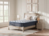 Plush Luxe 2.0 Mattresses - Tampa Furniture Outlet