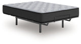 Comfort Plus Mattresses - Tampa Furniture Outlet