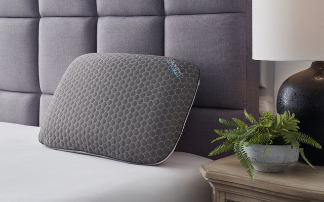 Tampa Furniture Outlet - Ashley Furniture - Zephyr 2.0 Pillows - Graphene Contour Pillow / Dark Gray - M52113P