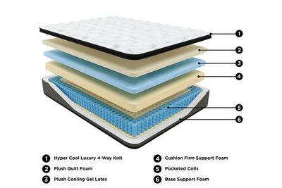 Ultra Luxury PT with Latex Mattress - Tampa Furniture Outlet
