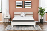 8 Inch Bonnell Hybrid Mattresses - Tampa Furniture Outlet