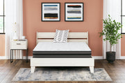 10 Inch Pocketed Hybrid Mattresses - Tampa Furniture Outlet