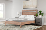10 Inch Memory Foam Mattresses - Tampa Furniture Outlet