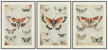 Jossletts Wall Decor