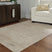Bachus Rug - Tampa Furniture Outlet