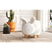 Rabbit Storage Stool in White – SKU Y-13890-7-ST | Elements