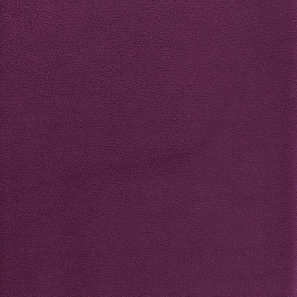 Rae Chair in Lavish 152 Purple Velvet