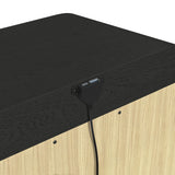 Ridgemont 2-Drawer Nightstand with USB in Black with Grain - Tampa Furniture Outlet