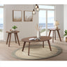 Theo Three Pack Occasional Set with Coffee Table and 2 End Tables in Walnut – SKU T-9160-5-OT | Elements