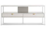 Deznee TV Stand - Tampa Furniture Outlet