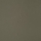 Wildcat Motion Loveseat in Aviarah Grey - Tampa Furniture Outlet