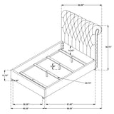 Devon 57-inch Upholstered Queen Panel Bed Beige - Tampa Furniture Outlet