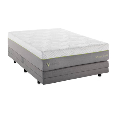 14 Inch Latex Hybrid Mattress - Tampa Furniture Outlet